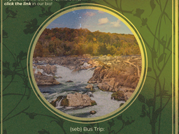Great Falls Park