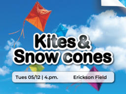 This is an (seb) event about flying kites and eating snowcones on Erickson Field from 4-6PM.