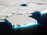 ice floating on blue sea.